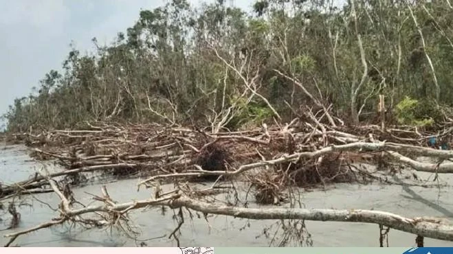 জনবল সংকটে ধুঁকছে বরগুনার কুকুয়া ১০ শয্যা হাসপাতাল, চরম ভোগান্তি