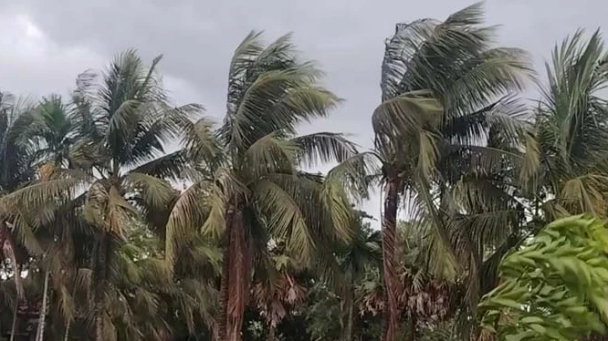 সাগরে নিম্নচাপ, দেশের চার সমুদ্রবন্দরে ৩ নম্বর সতর্ক সংকেত