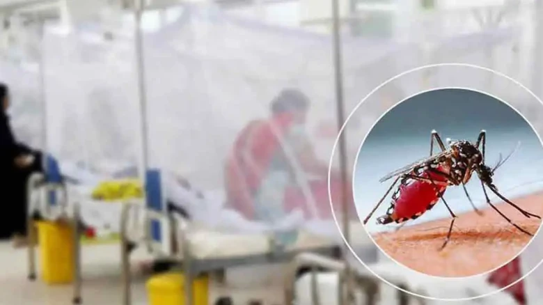 ডেঙ্গুতে একদিনে আরও ৯ জনের মৃত্যু, হাসপাতালে ভর্তি ১৯০২