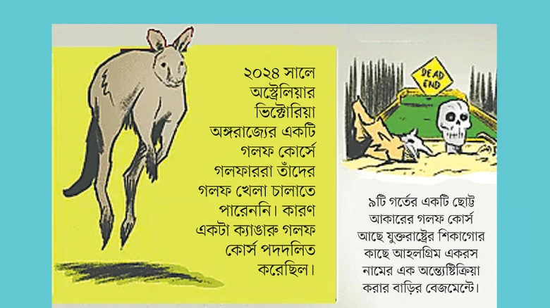 রিপলি’স বিলিভ ইট অর নট এর একটি প্রতীকী ছবি ও প্রদর্শনী