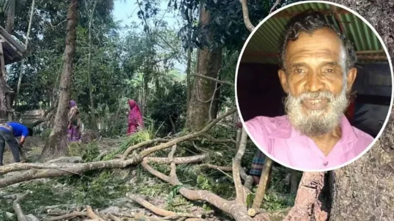 পটুয়াখালীর বাউফলে গাছের ডাল পড়ে বিএনপি নেতার মৃত্যু