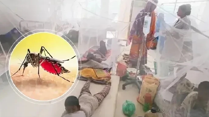 ডেঙ্গু আক্রান্ত হয়ে হাসপাতালে চিকিৎসাধীন রোগী ও স্বজনদের ভিড়।