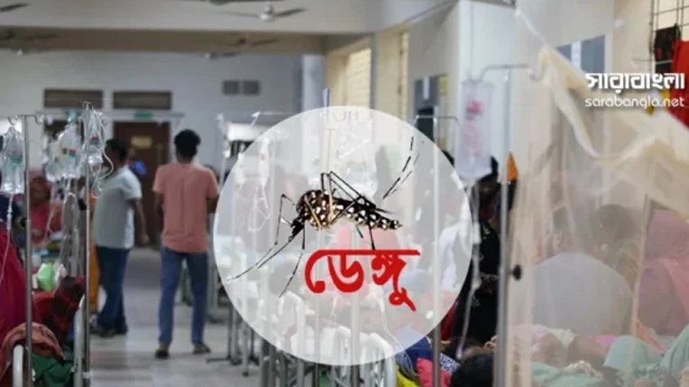 দেশে ডেঙ্গুতে আরও ৩ জনের মৃত্যু, নতুন আক্রান্ত বেড়ে ১২৬২